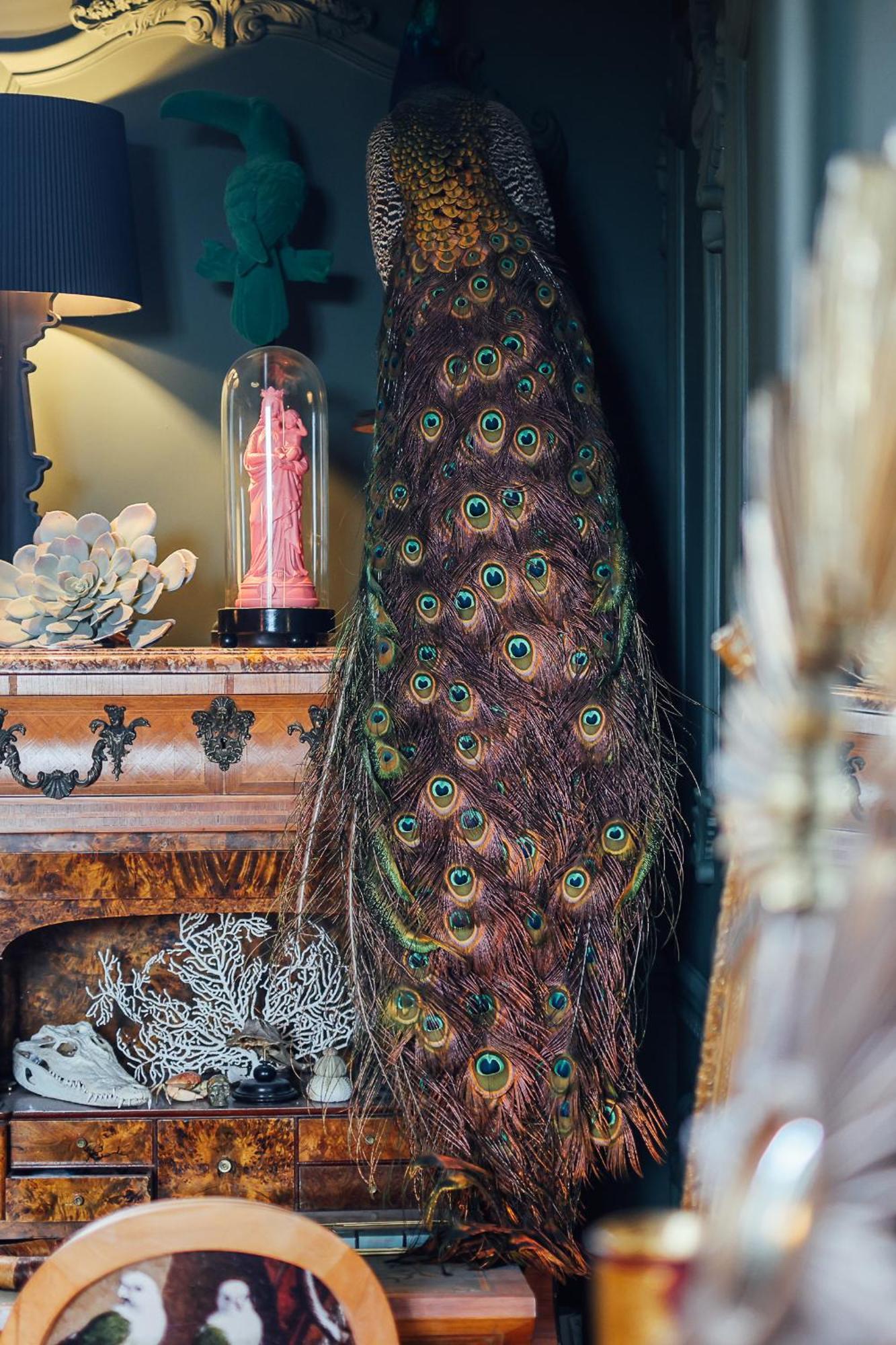 Malouiniere Guillaume Onffroy Bed & Breakfast Saint-Malo Exterior foto
